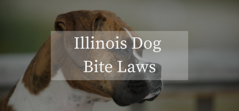 Illinois Dog Bite Laws: What Is The Illinois Law For Dog Bites?